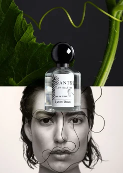 Outlet & Other Stories Eau De Toilette Solar Essay